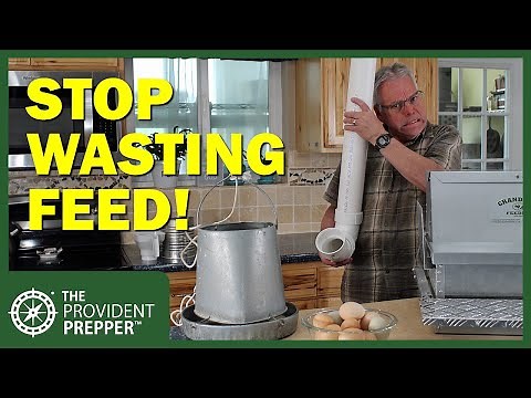 The Solution to Keeping Chickens Fed Without Waste (or Feeding Mice and Birds)