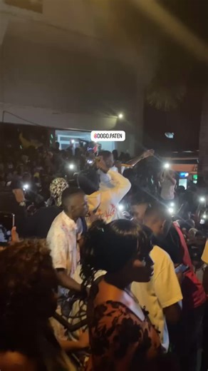 Dogo patten fan page (@dogopattenfanpage)’s videos with original sound - Dogo patten fan page