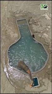 1.9M views · 76K reactions | At our Elephant Conservation and Care Centre (ECCC), each day brings soft earth, safe skies, gentle care, and the tender promise of a better tomorrow. In frame: Coconut enjoying her favourite pool time. | Wildlife SOS | Facebook