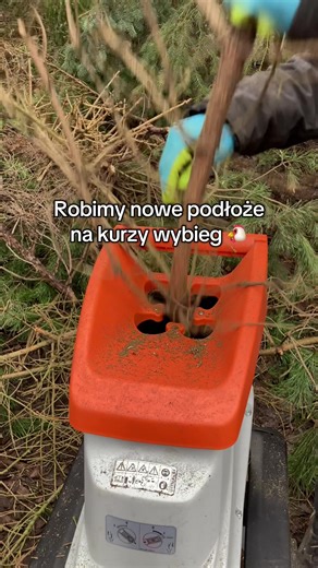 Nowe podłoże na kurzy wybieg: bez błota!