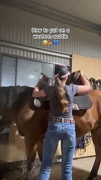 How to put on a western saddle tutorial #tutorial #westernriding #viral #westernsaddle #horsegirl