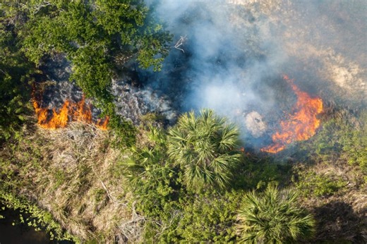 Fire weather watch issued for several Tampa Bay counties