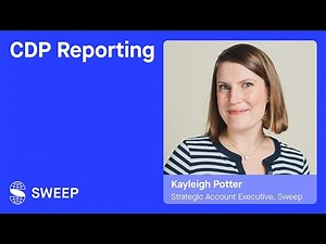 What Is CDP Reporting? A quick guide for businesses
