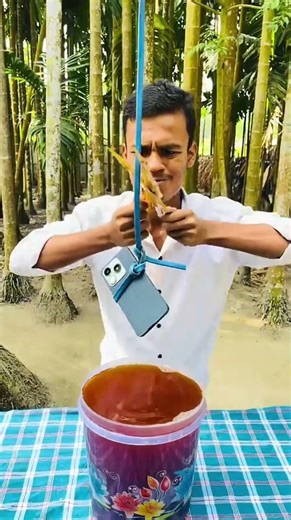 Building Wooden Log Cabin in Forest 🎄🎈 | Survival House Step by Step "9 #shorts #facts