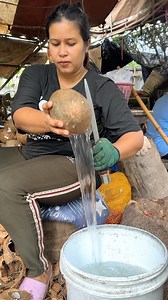 How to Extract Coconut Meat #coconut #reels #viral | Travelicious