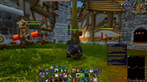 WoW : Présentation du Druide, Guide débutant, Classe World of Warcraft