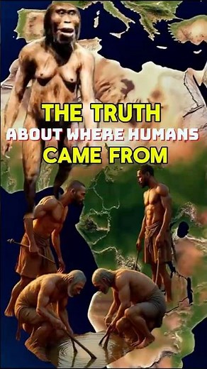 Lucy Fossil-What Secrets She Reveals About Human Evolution