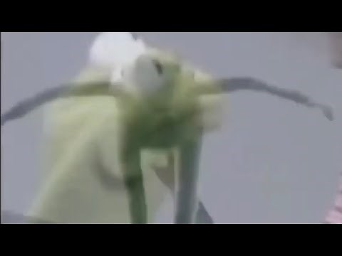 Kermit jumps off a building (family guy version) [REUPLOADED]