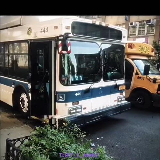 MTA bus edit #edit #nycta #mta
