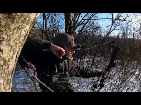 Ohio Deer Hunt Public Land !!