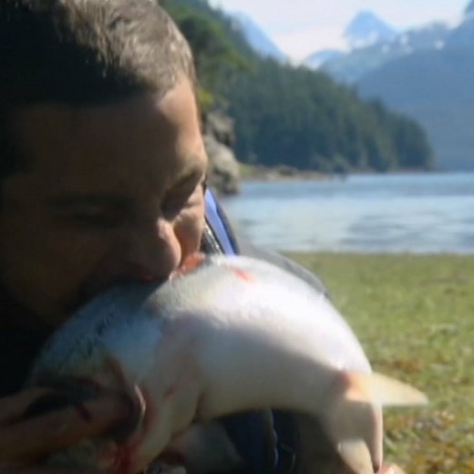 3.7M views · 2.1K shares | Our two favourite men of survival Ed Stafford and Bear Grylls. Who would you want by your side when stuck in the wilderness? | Discovery Channel UK | Facebook