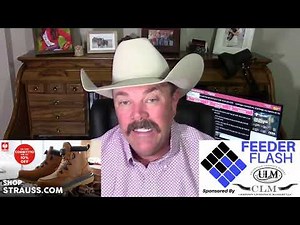 Feeder Flash 11/7: Cattle Still Selling Very Well