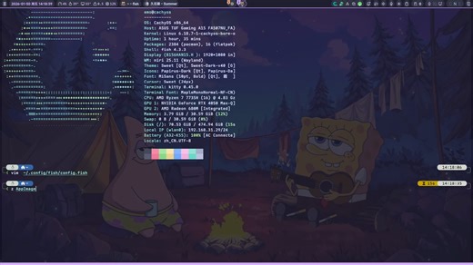 我的fish配置以及如何解决dns泄露的问题