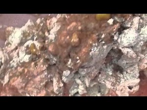 How to make homemade carp bait