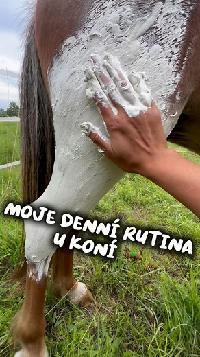 Kristy, natočíš každodenní rutinu u koní ?” Proč ne 😇🐎😊 | Kristy. M Ranch