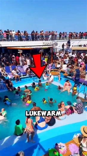 Pool Water Under Microscope 🏊‍♂️🔬