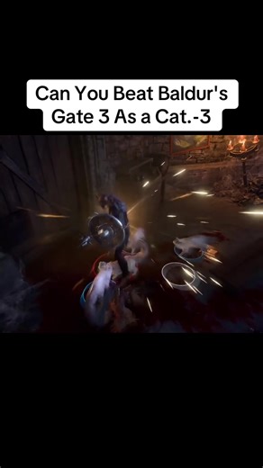 Can You Beat Baldur's Gate 3 As a Cat.-3