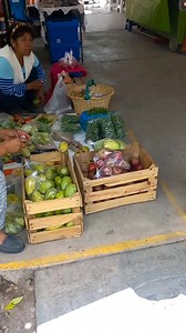 10K views · 201 reactions | Tasquillo donde se dan las nueces, los duraznos, las Manzanas, un lugar increíble que debes visitar ..... Tasquillo, Hidalgo. México  | Hidalgo y sus alrededores | Facebook