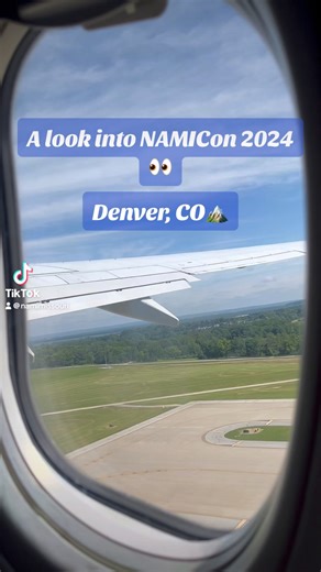 Missed NAMICon 2024? Here’s a quick look into all the fun!💙 | NAMI Missouri