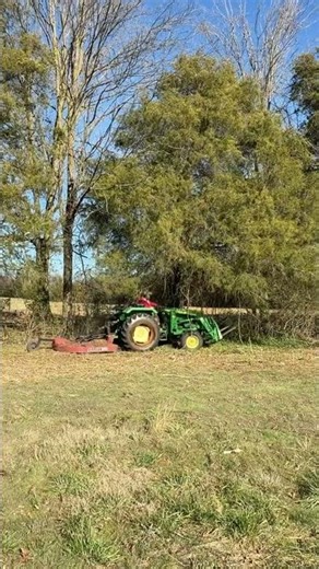 Bush hogging a fence row #farmlife #johndeere #homesteading