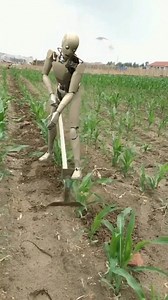 1.1K views · 53 reactions | Ai in agriculture 﫢 #technology #tech #innovation #engineering #business #iphone #technews #science #design #apple #gadgets #electronics #android #software #programming #smartphone #bhfyp #fypシ | Mukesh Bajiya | Facebook