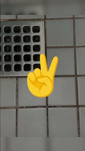 How To Prevent Mold Growth in Showers