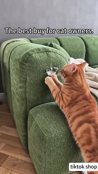 Adorable Cat Gifts from TikTok Shop
