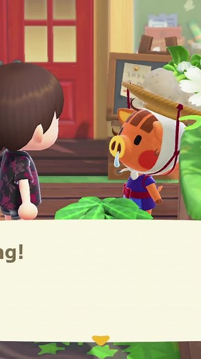 Daisy Mae's Hidden Secrets in Animal Crossing