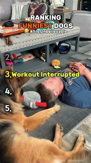 Top 5 Craziest Dog Fails 🤣 (Wait for #1)