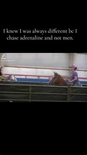 Avoiding Fake Accounts in Barrel Racing Community