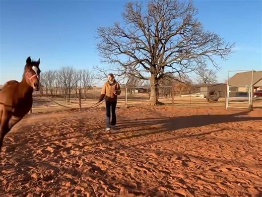 CW Performance and Training on Reels