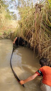 #usa #usa, fishing 🎣🐟 | The Daily Catch