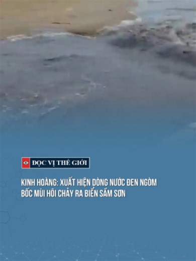 KINH HOÀNG: XUẤT HIỆN DÒNG NƯỚC ĐEN NGÒM, BỐC MÙI HÔI CHẢY RA BIỂN SẦM SƠN #docvithegioi #tintuc #news #tiktoknews