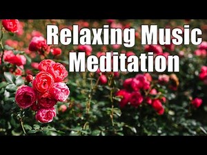 Mountain Wind and Birdsong for Sleep and Focus | HD Forest Nature Ambience