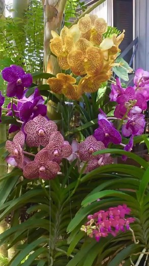 John Curran on Reels