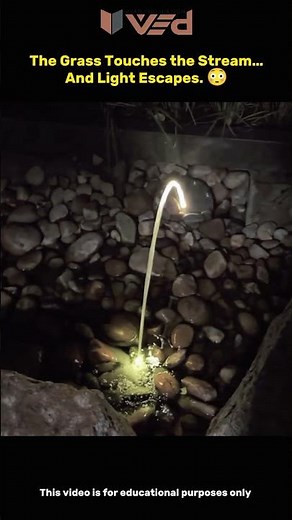 The Grass Touches Water… And Light Escapes! 😳 | Physics #shorts