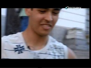 Discovery / Свръхчовешко: Интелект / БГ АУДИО