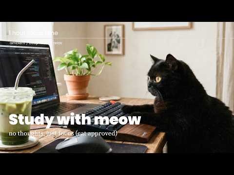 🐱 Study With Meow | Cat Lofi | 1 Hour Focus Music | Coding, Typing & Deep Work