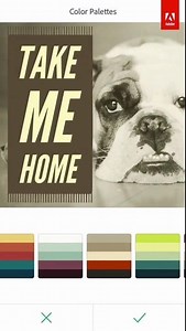 11K views · 467 reactions | O Adobe Spark faz posts, páginas, vídeos e tem uma estrutura incrível para fazer sua conta decolar. Comece agora, é grátis: https://adobe.ly/2iQV5BG. Trabalhe com aplicativos Adobe originais: 0800 047 4493 | https://adobe.ly/2iON7cv. | Adobe Brasil | Facebook