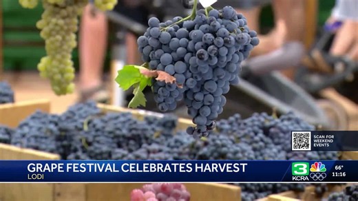 Lodi Grape Festival celebrates decades of tradition