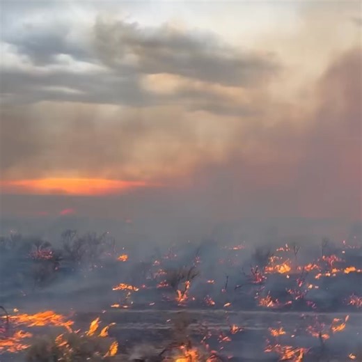 Michael Besson on Reels