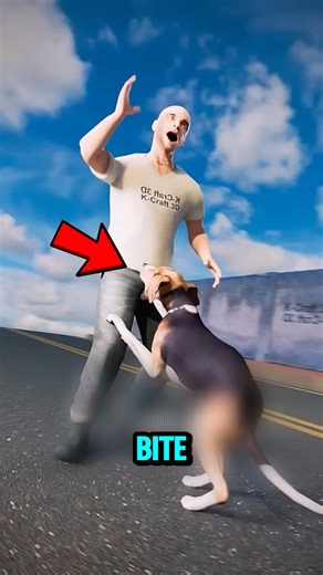 Dog Chasing You? The One Survival Trick Everyone Gets Wrong