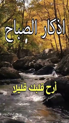 Morning remembrances, soothe your heart a little 😴🎧 #PeaceOfMind Ayat AL Sakinah (Verses of Tranq...