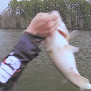 Fish like the pros with ActiveTarget® 2 live sonar. More Major League Fishing pros fish for the win with Lowrance. | Lowrance