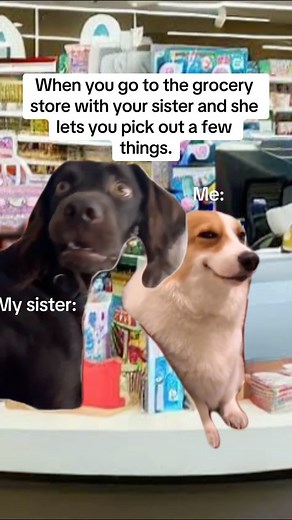 Humour ▪︎ Memes ▪︎ Reels on Instagram: "Follow @video.graph.photo for more funny content! DM for Credits or Removal of the video ❗️ #funny, #memes, #funnymemes, #dailydose, #memestagram, #funnyreels, #funnymeme, #funnyvideo, #comedyreels, #lol, #fun, #comedy, #funnyvideos, #jokes, #laugh"