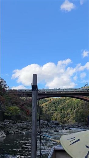 Ninja Train Spotted in Japan!