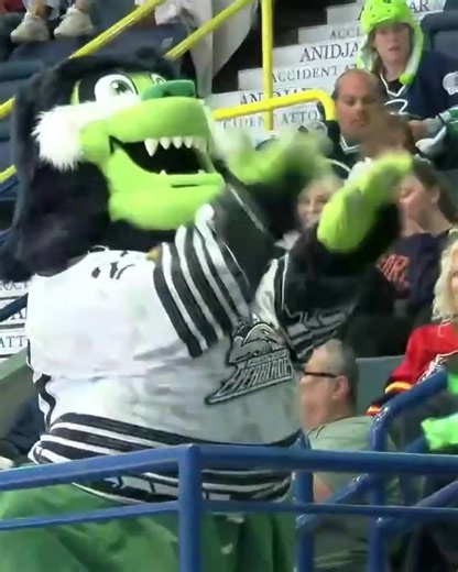 Florida Everblades on Reels