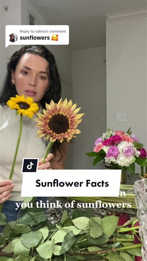 Sunflower Care Tips and Facts