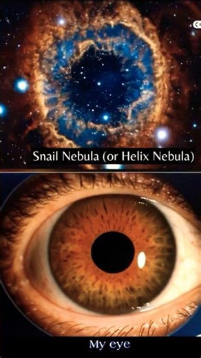 The human body and the universe ￼#Space. #universe
