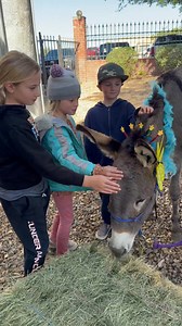 8.8K views · 70 reactions | Come on down to the Go Lake Havasu Visitor’s Center under the London Bridge! Pancake the Burro is celebrating its birthday! It’s a free event today (Saturday) 10 a.m. - 12 p.m. | RiverScene Magazine | Facebook